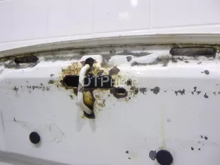 7901K5 Капот Citroen Berlingo 1 restailing Арт AM60677704, вид 9