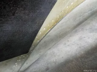 5N0833056A VAG Дверь задняя правая Volkswagen Tiguan 1 Арт E41218918, вид 11