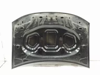 651000987R Капот Renault Duster 1 Арт T112696, вид 3