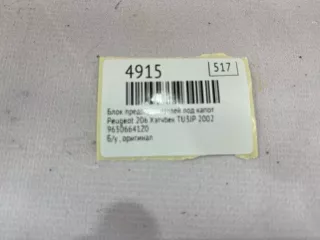 96506641Z0 Блок предохранителей под капот Peugeot 206 1 Арт MF4915, вид 7