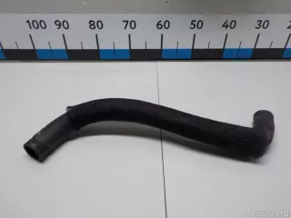 55038028AG Chrysler Патрубок радиатора Jeep Cherokee KL Арт E51948992