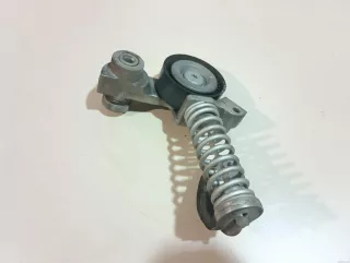 31460372 Volvo Ролик натяжителя Volvo S60 3 Арт E23460885, вид 1