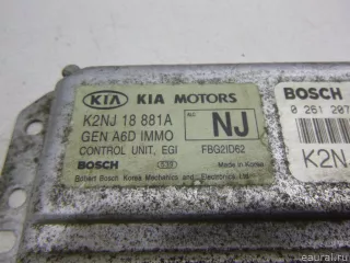 K2NJ18881A Hyundai-Kia Блок управления двигателем Kia Spectra 1, Spectra sd Арт E48412790, вид 10