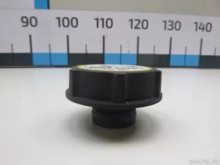 1301104 Ford Крышка расширительного бачка Ford Galaxy 2 restailing Арт E48475165, вид 3