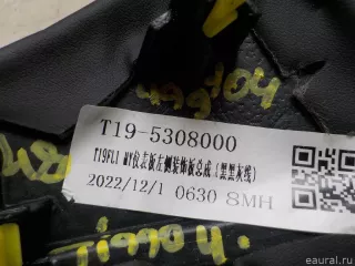  Накладка декоративная Chery Tiggo  2 Арт E48499104, вид 4