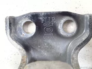 1012017040 Geely Петля двери передней левой нижняя Geely Emgrand x7 Арт E95450415, вид 7