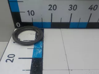 172405M300 Nissan Топливный бак Nissan GT-R Арт E52355446