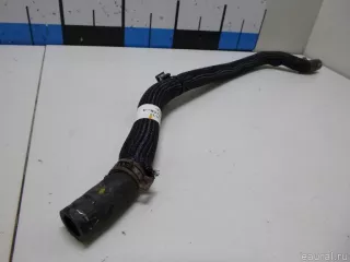 497179945R Renault Шланг гидроусилителя Renault Logan 2 Арт E5865898, вид 3
