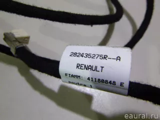 282435275R Renault Жгут проводов (Проводка) Renault Sandero 2 Арт E22245889, вид 2