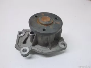 210102248R Renault Насос водяной (помпа) Renault Duster 2 Арт E40603335, вид 1