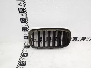 51117316076 Молдинг (рамка) решетки радиатора BMW X6 F16 Арт AD106238, вид 2