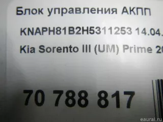 954403BPD0 Hyundai-Kia Блок управления АКПП Kia Sorento 3 restailing Арт E70788817, вид 10