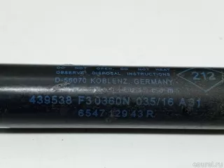 654712943R Renault Амортизатор капота Renault Duster 2 Арт E31604481, вид 4
