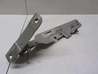 6L2Z16796AA Ford Петля капота правая Ford Explorer 4 Арт E40396512, вид 4