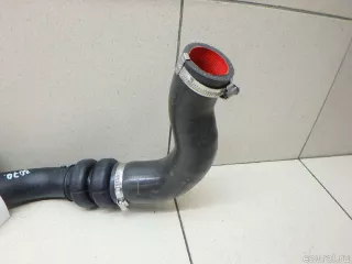 F1FZ6C646A Ford Патрубок интеркулера Ford Kuga 2 Арт E95552079, вид 3