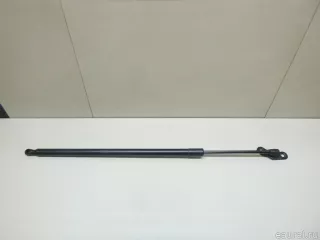GJ5Z78406A10A Ford Амортизатор багажника Ford Kuga 2 Арт E22864188, вид 1