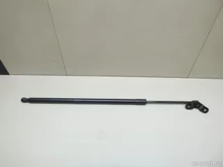 GJ5Z78406A10A Ford Амортизатор багажника Ford Kuga 2 Арт E22864188, вид 4