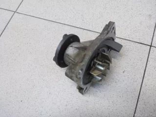 210102248R Renault Насос водяной (помпа) Renault Duster 2 Арт E100374342, вид 1