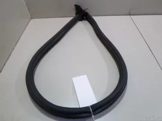 668300019R Renault Уплотнитель капота Renault Duster 2 Арт E14643078, вид 2