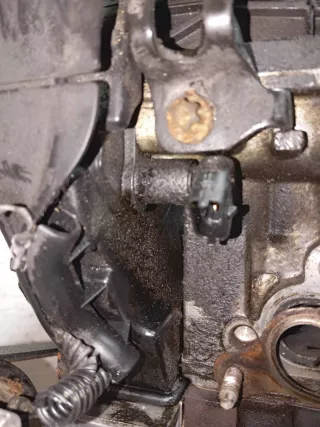  Датчик распредвала Fiat Stilo Арт 46023073152, вид 1