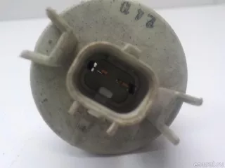  Патрон указателя поворота Mitsubishi Monter 4 Арт E40654415, вид 3