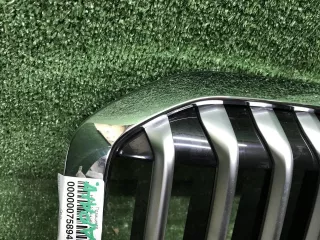 51137454895 Решетка радиатора BMW X7 g07 Арт 0000007589447, вид 20