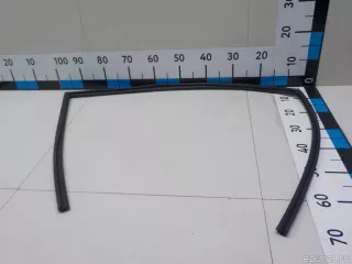 8254007000 Hyundai-Kia Уплотнитель стекла двери Kia Picanto 1 Арт E51997552