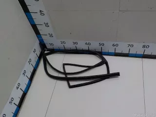 8353107000 Hyundai-Kia Уплотнитель стекла двери Kia Picanto 1 Арт E51997731, вид 3