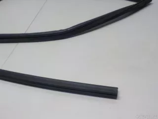 8253007000 Hyundai-Kia Уплотнитель стекла двери Kia Picanto 1 Арт E52288755, вид 12