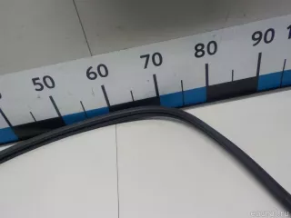 8253007000 Hyundai-Kia Уплотнитель стекла двери Kia Picanto 1 Арт E52288755, вид 5