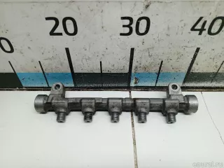 314002A420 Hyundai-Kia Топливная рампа  Kia Rio 2 Арт E31613464, вид 1