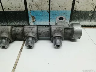 314002A420 Hyundai-Kia Топливная рампа  Kia Rio 2 Арт E31613464, вид 2
