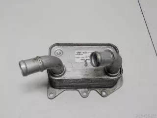 264102F020 Hyundai-Kia Радиатор масляный Kia Sorento 3 restailing Арт E50466719, вид 7
