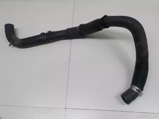 254113U000 Hyundai-Kia Патрубок радиатора Kia Sportage 3 Арт E52154226, вид 1