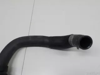 254113U000 Hyundai-Kia Патрубок радиатора Kia Sportage 3 Арт E52154226, вид 4