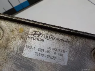 264102F020 Hyundai-Kia Радиатор масляный Kia Carnival 3 Арт E52435047, вид 3