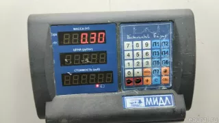 817701H010 Hyundai-Kia Амортизатор двери багажника Kia Ceed 1 Арт E90410999, вид 4