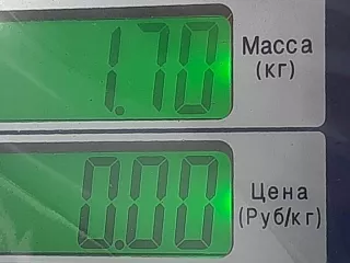  Суппорт задний левый Volkswagen Passat B5 Арт AG1095711, вид 4