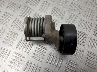 038903315T Натяжитель ремня генератора Skoda Fabia 1 Арт AG1098738, вид 1