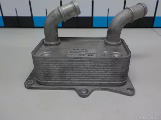 264102F020 Hyundai-Kia Радиатор масляный Kia Carnival 3 Арт E103011108, вид 3