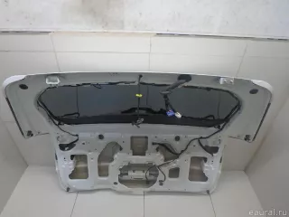  Дверь багажника со стеклом Kia Carnival 4 Арт E95753360, вид 14