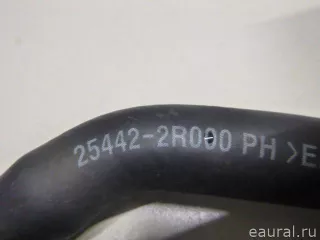 254422R000 Hyundai-Kia Трубка кондиционера Kia Carnival 4 Арт E23371283, вид 3