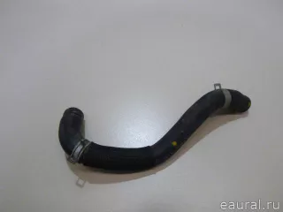 254532R000 Hyundai-Kia Шланг системы охлаждения Kia Carnival 4 Арт E23589296, вид 1