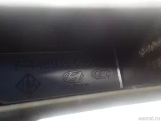 244202E000 Hyundai-Kia Направляющая цепи Kia K5 3 Арт E41118024, вид 5