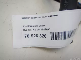 254422R000 Hyundai-Kia Трубка кондиционера Kia Carnival 4 Арт E70526826, вид 5