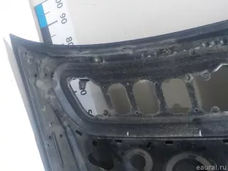 2218800157 Mercedes Benz Капот Mercedes S W221 Арт E52061606, вид 12