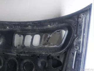 2218800157 Mercedes Benz Капот Mercedes S W221 Арт E52061606, вид 9