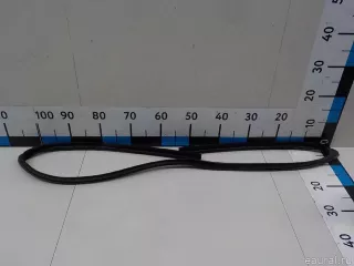 1697250725 Mercedes Benz Уплотнитель стекла двери Mercedes A W169 Арт E52248897, вид 3