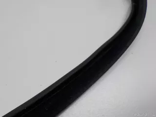1697250725 Mercedes Benz Уплотнитель стекла двери Mercedes A W169 Арт E52248897, вид 5
