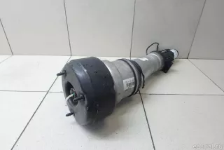 2213209313 Mercedes Benz Амортизатор передний Mercedes S W221 Арт E95748432, вид 5